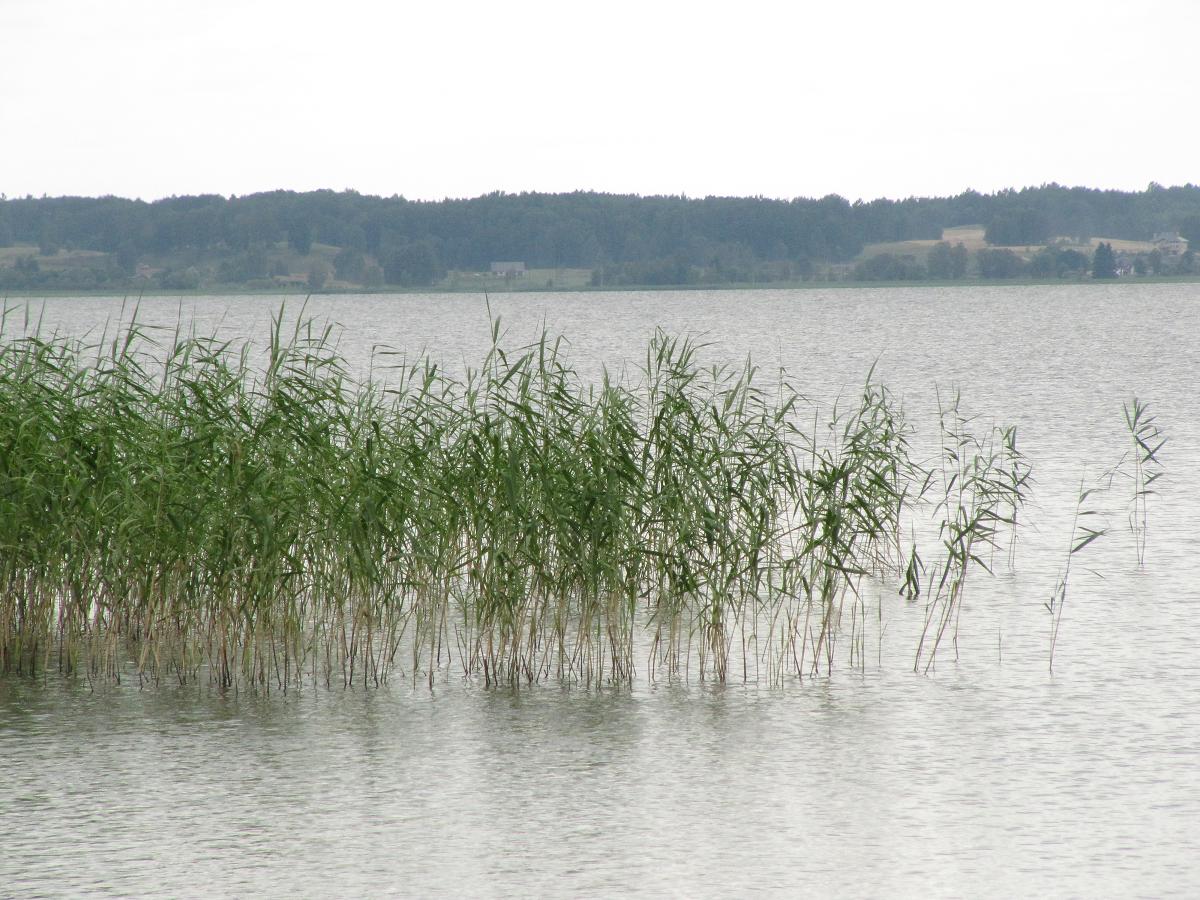 Parque Nacional de Räknas. Letonia.