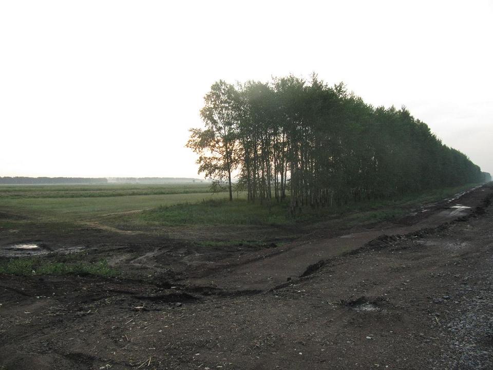 Camino de Ufa. Rusia. Tramo malo.