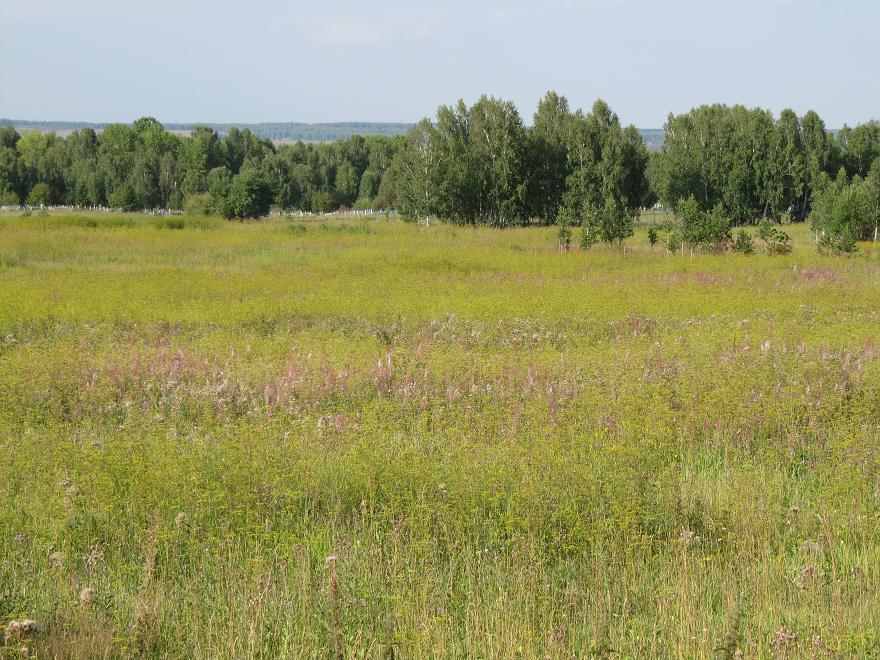 Nizhnyaya Poyma, Krai de Krasnojarsk, Rusia. Нижняя Пойма, Красноярск Край,Россия. 