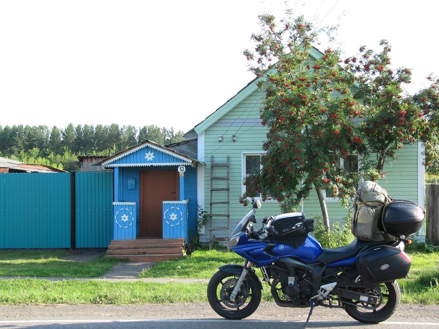 Folixa Astur en Nizhnyaya Ingash, Krai de Krasnojarsk, Rusia. Нижняя Ингаш,Красноярск Край,Россия.