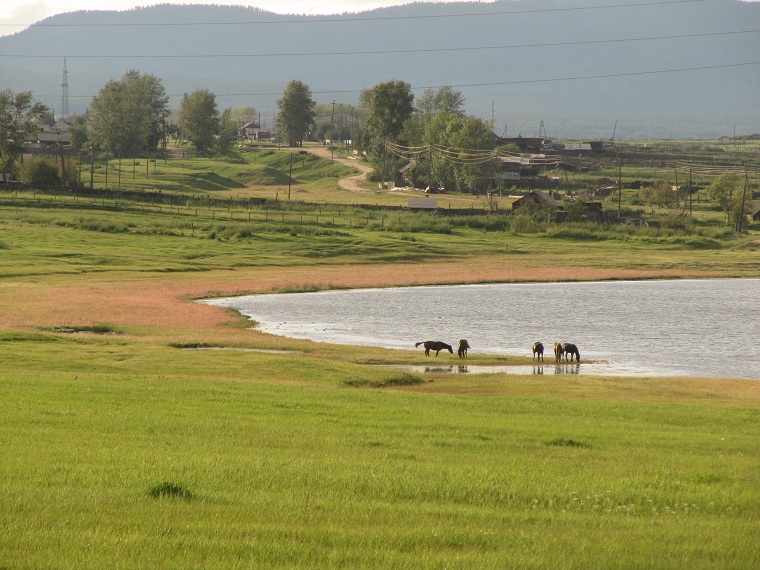 Camino de Chitá, Zabaikalsky Krai, Rusia. Дорога Чита, Забайкальский край, Россия.