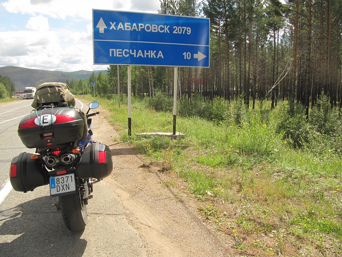 Folixa Astur a la salida de Chitá, krai Zabaykalskiy/región Transbaikal, Rusia.  Фолиха астур к выходу Чита, Забайкальский край, Россия.