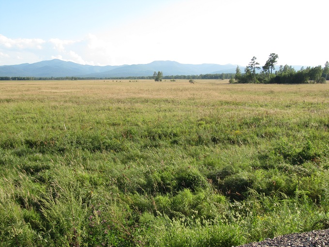 Camino de Khabarovsk, Territorio Primorsky, Rusia. Al fondo, China. Путь Хабаровский, Приморский край, Россия. На заднем плане, Китай.