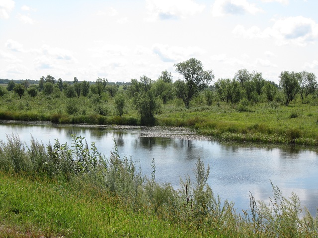 Camino de Khabarovsk, Territorio Primorsky, Rusia. Al fondo, China. Путь Хабаровский, Приморский край, Россия. На заднем плане, Китай.