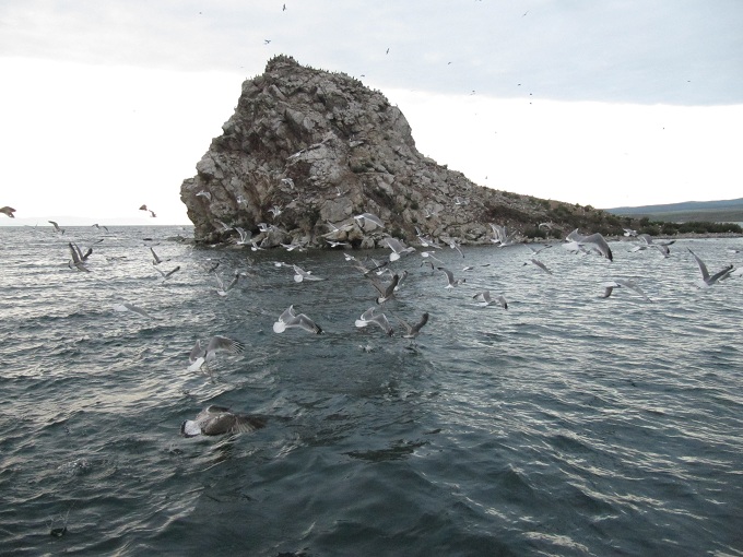 Lago Baikal, Isla de Olkhon, Óblast de Irkutsk, Rusia. Озеро Байкал, остров Ольхон, Иркутская область, Россия.