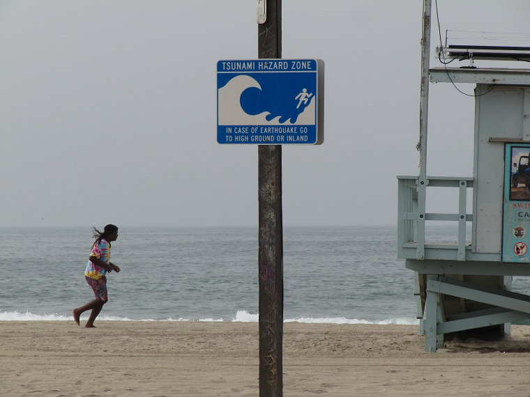 Playa de Venice Beach, Los Angeles, CA.  