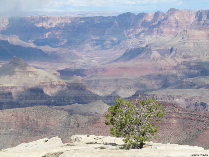 Gran Cañón del río Colorado, Arizona.