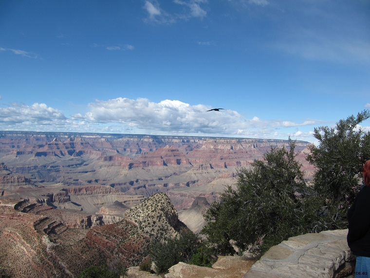 Gran Cañón del río Colorado, Arizona.