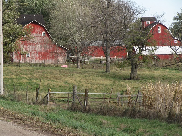 Alrededores de Newton IA.