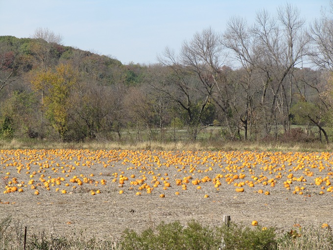 Camino hacia Anamosa, IA, EEUU.