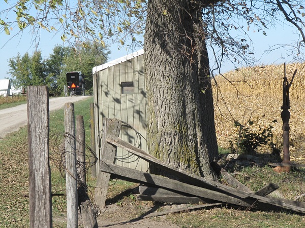 A las afueras de Kalona; Iowa, EEUU.