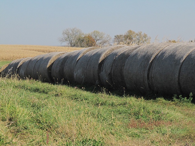 Camino de Maquoketa; Iowa, EEUU.