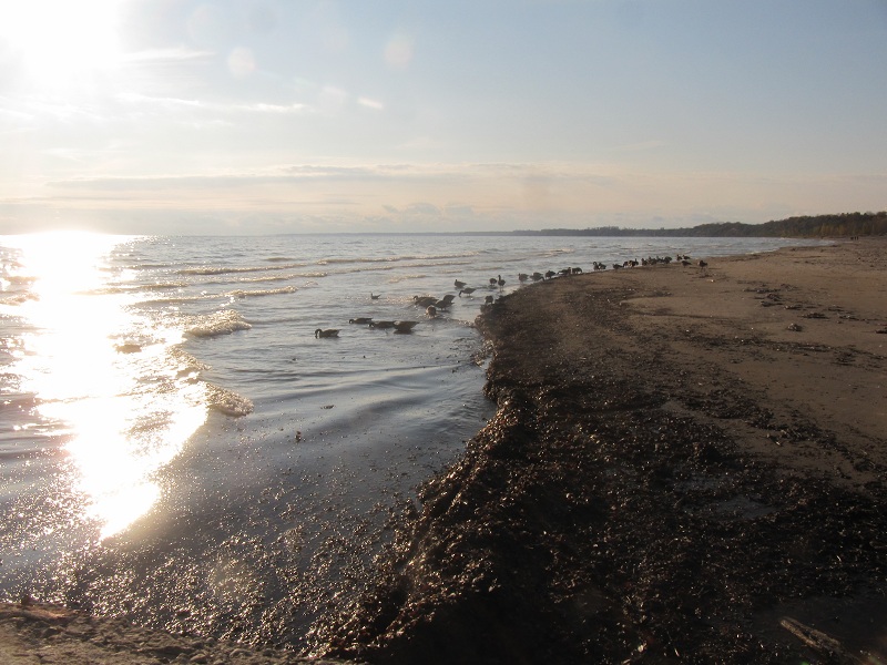 Lake Eire in Port Stanley ON, Canadá.