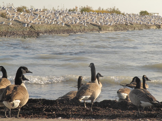 Lake Eire in Port Stanley ON, Canadá.