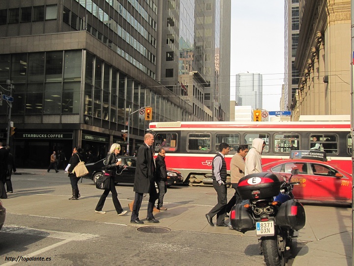 Folixa Astur en Toronto,Ontario, Canadá.