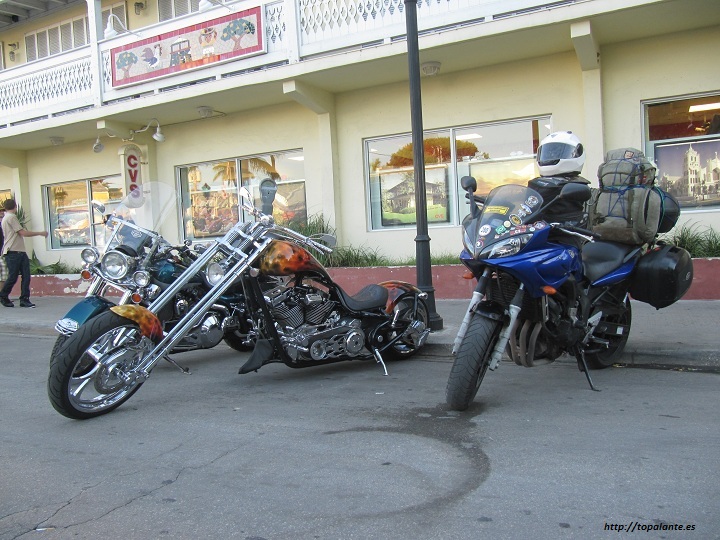 Folixa Astur en Key West, (Cayo Hueso) FL, EEUU.