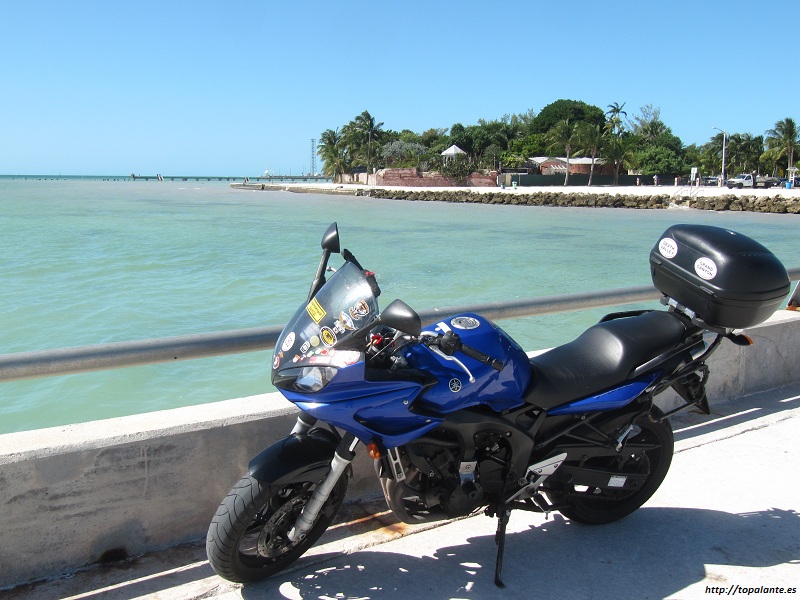 Folixa Astur en Key West, (Cayo Hueso) FL, EEUU.