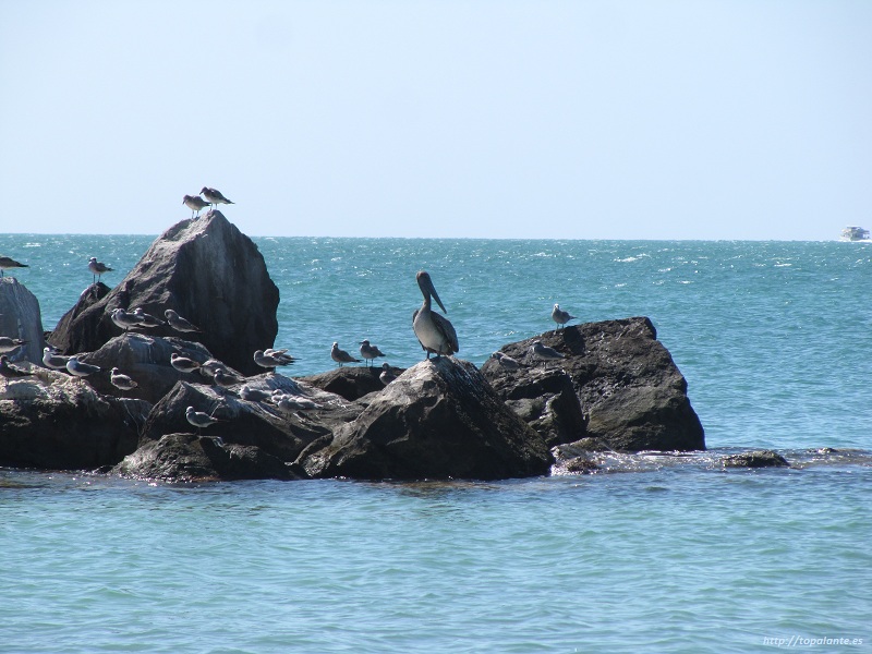 Key West, (Cayo Hueso) FL, EEUU.
