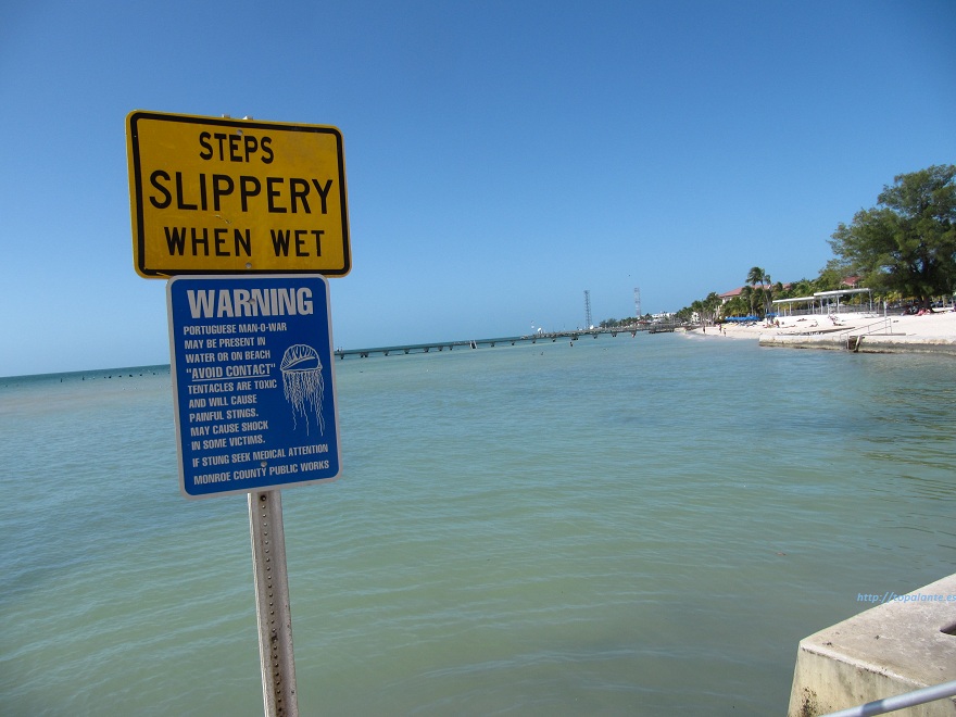  Key West, (Cayo Hueso) FL, EEUU.