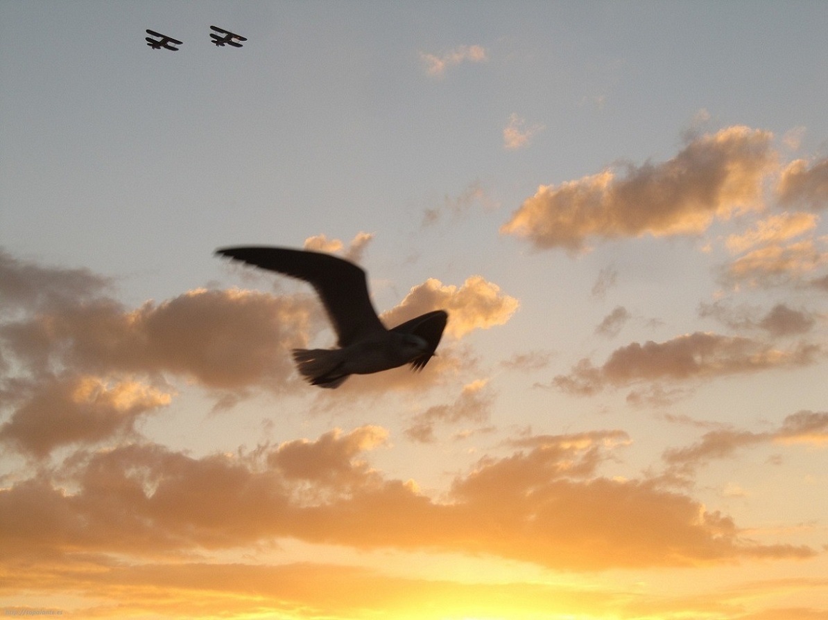 El ocaso en Key West, FL, EEUU