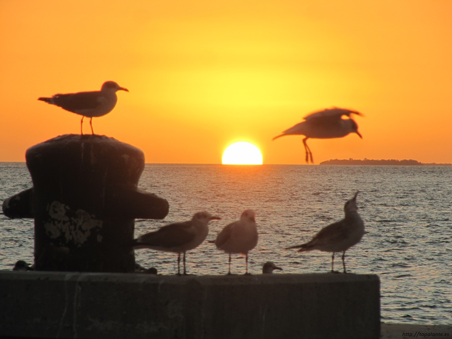 El ocaso en Key West, FL, EEUU