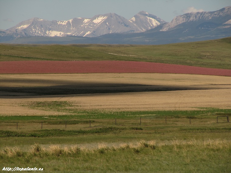 Montana USA.