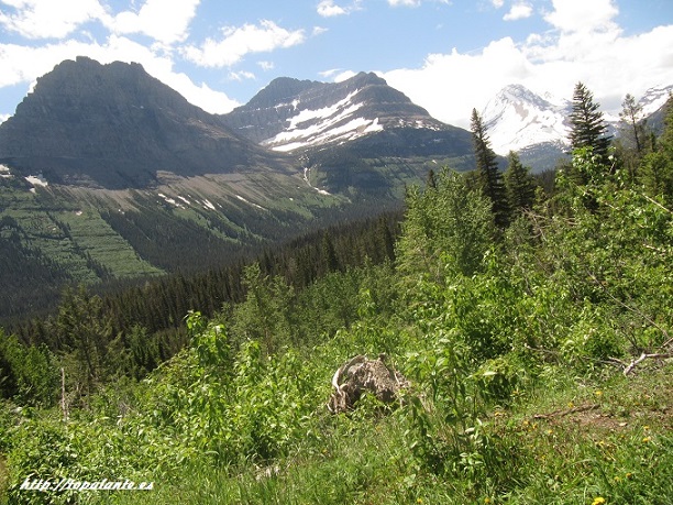  Carretera "Going to the Sun Road", Glacier National Park, MT, USA.