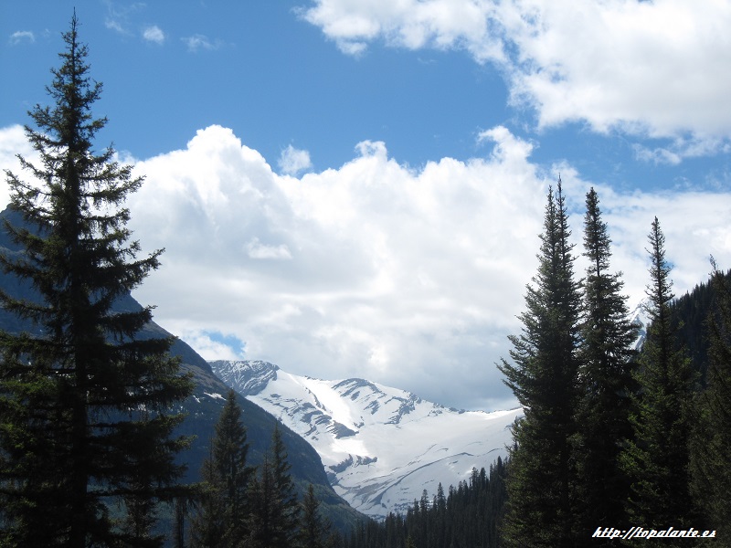  Carretera "Going to the Sun Road", Glacier National Park, MT, USA.
