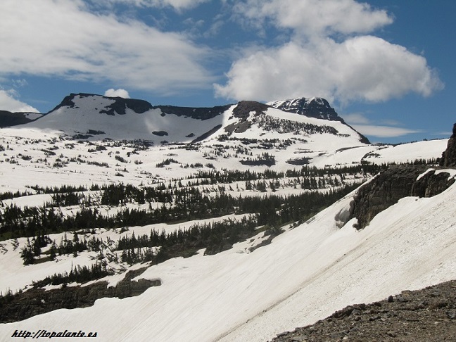  Carretera "Going to the Sun Road", Glacier National Park, MT, USA.