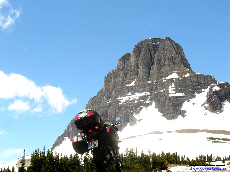 Folixa Astur en el Logan Pass, Glacier National Park, MT, USA.