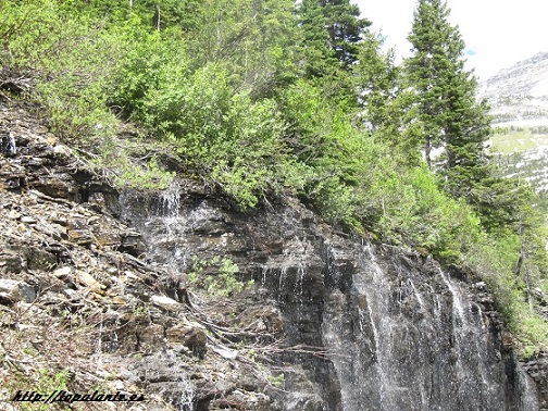  Carretera "Going to the Sun Road", Glacier National Park, MT, USA.