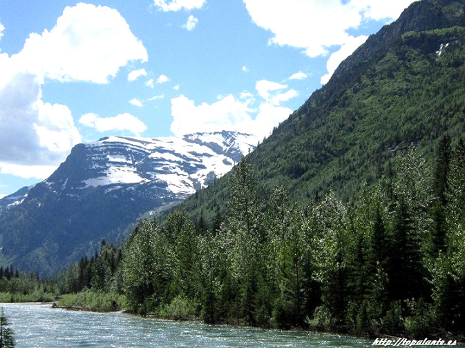  Carretera "Going to the Sun Road", Glacier National Park, MT, USA.