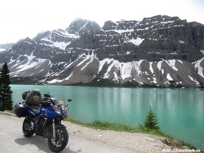 Folixa Astur en Alberta, Canadá.