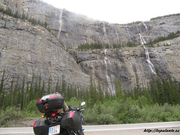 Folixa Astur en Alberta, Canadá.