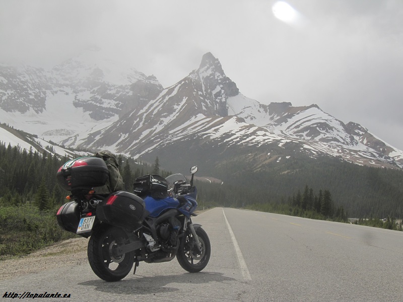Folixa Astur en Alberta, Canadá.