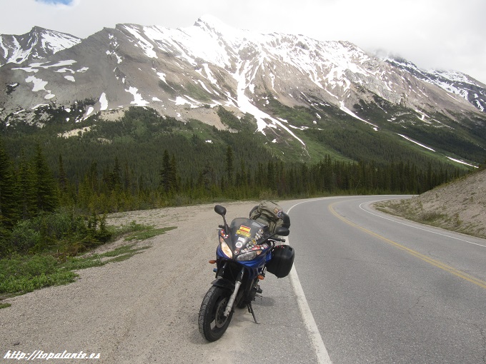 Folixa Astur en Alberta, Canadá.