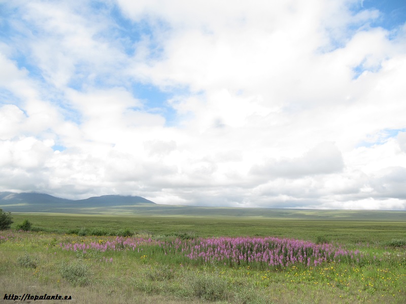 Dalton Highway, Alaska.