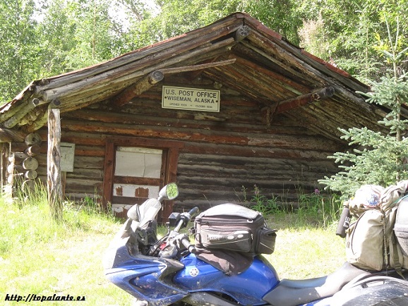 Folixa Astur en Wiseman, Alaska, USA.