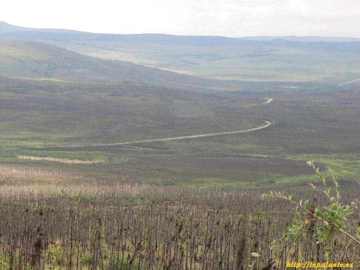 Camino Fairbanks. Dalton Highway, Alaska.