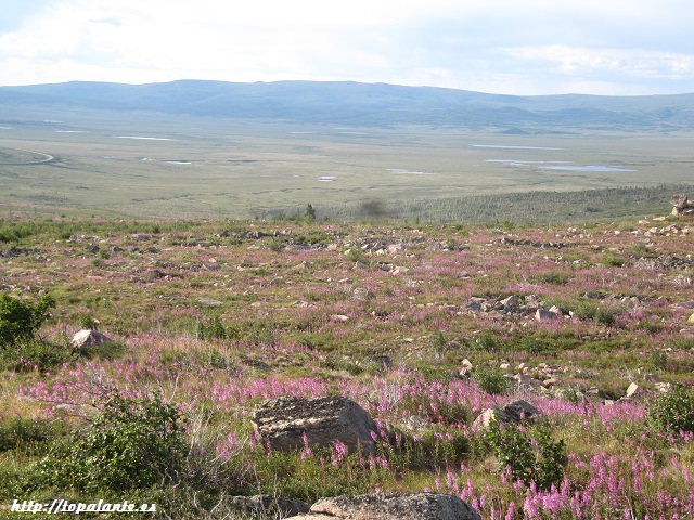 Camino Fairbanks. Dalton Highway, Alaska, USA.