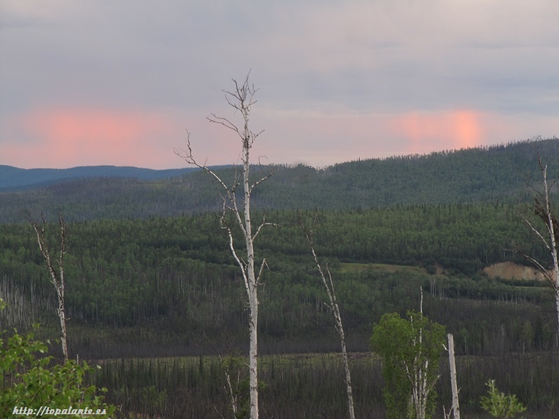 Camino Fairbanks. Dalton Highway, Alaska, USA.