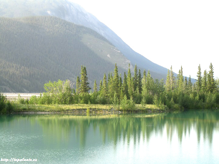 Tanana Valley, camino Whitehorse, Alaska.