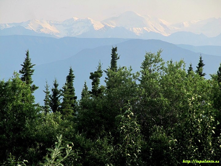 Camino Whitehorse, Alaska.