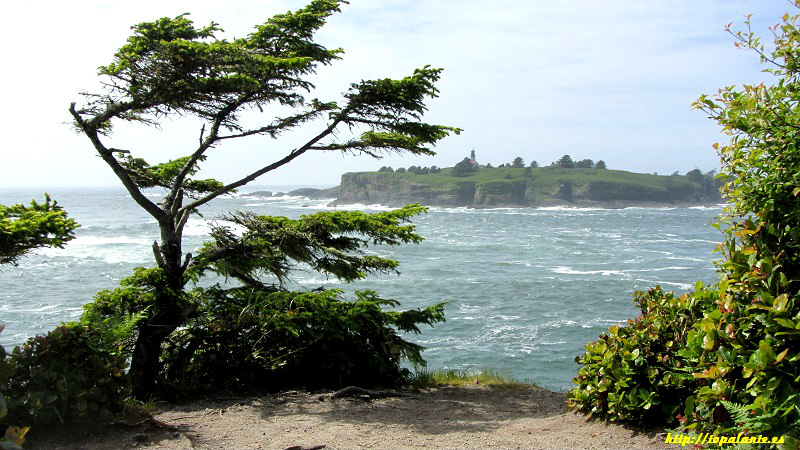 Neah Bay WA, EEUU.
