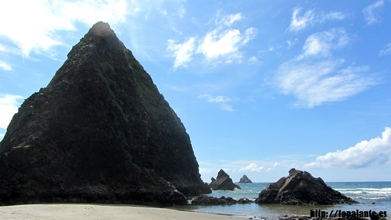 Costa de Oregón. USA.
