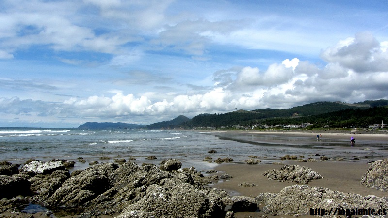 Costa de Oregón. USA.