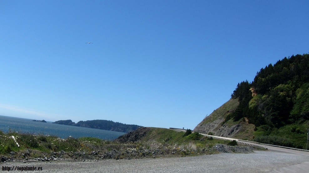 US 101. Costa de Oregón. USA.