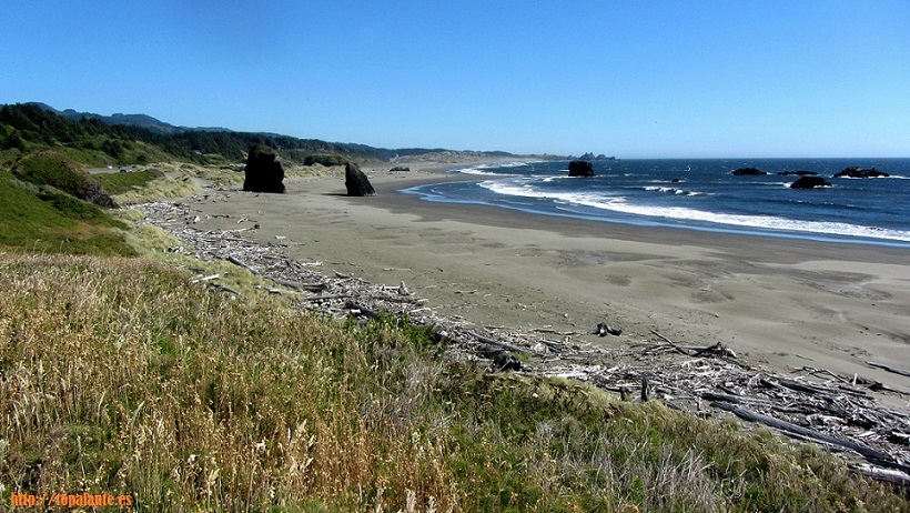 US 101. Costa de Oregón. USA.