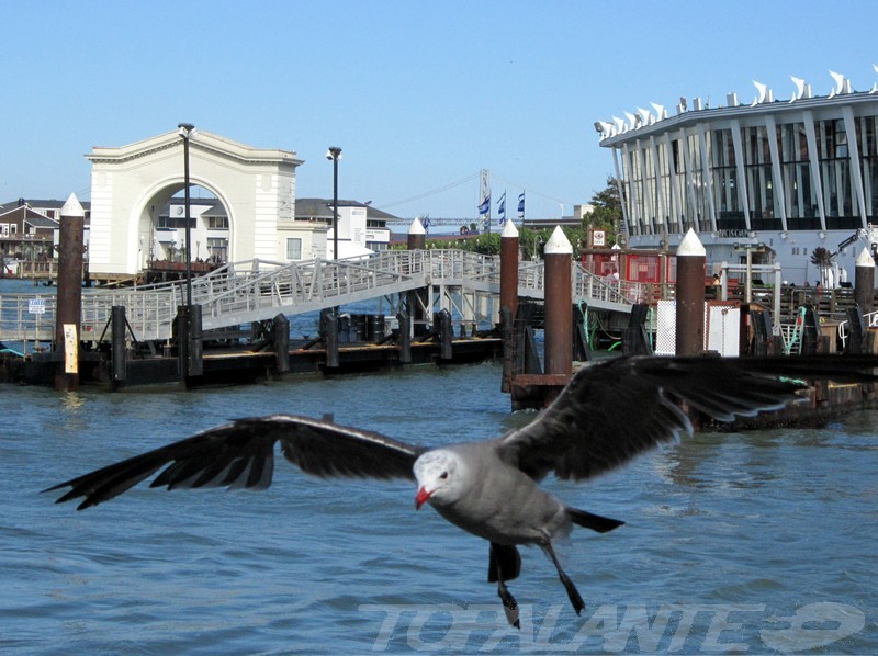 The Embarcadero. San Francisco CA.