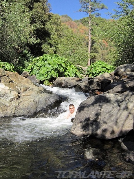 Topalante en Yosemite National Park. California USA.